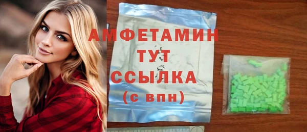 индика Арсеньев