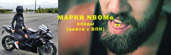 индика Арсеньев