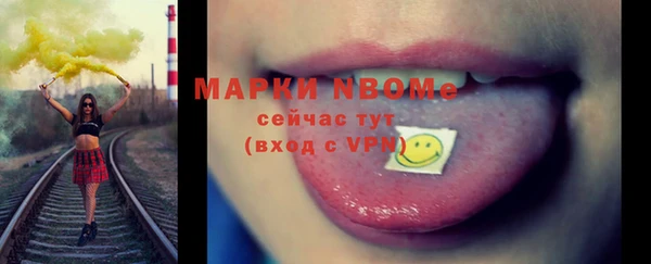 индика Арсеньев