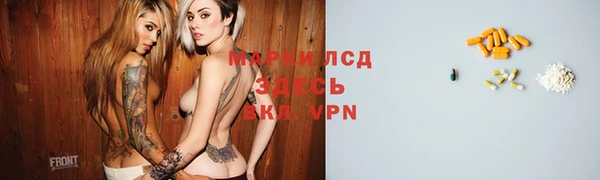индика Арсеньев