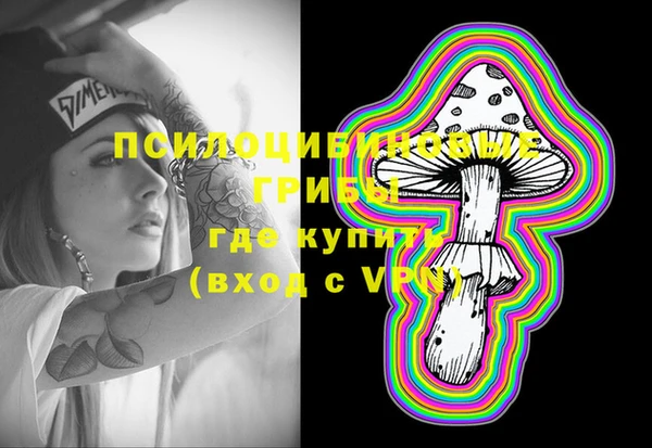 индика Арсеньев