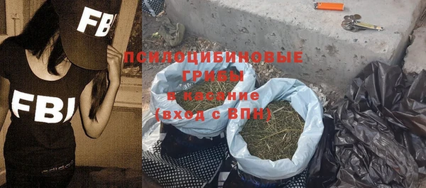 индика Арсеньев