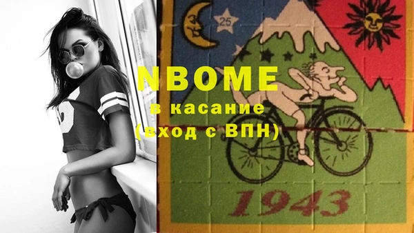 индика Арсеньев